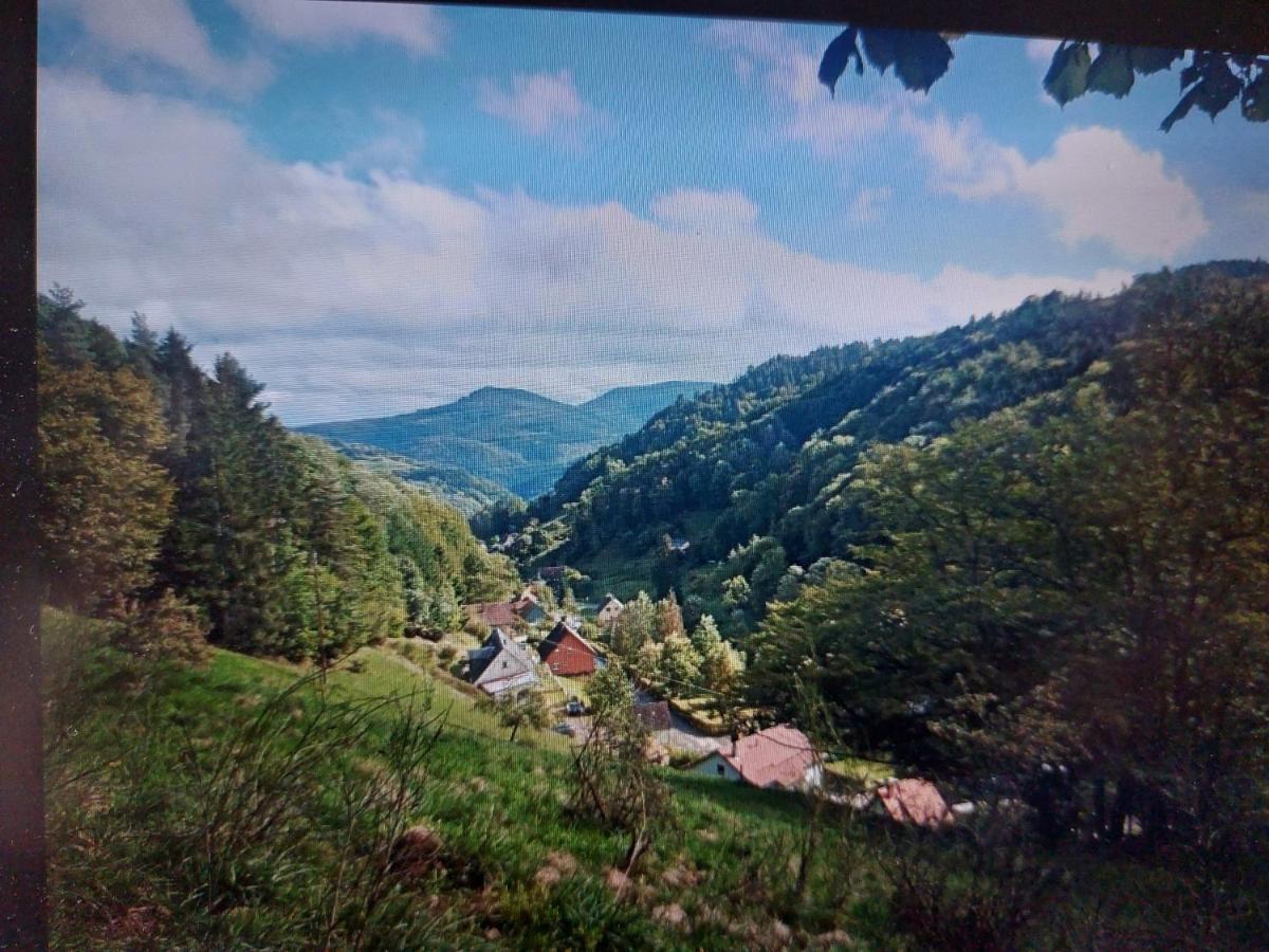 Gite La Fonderie Fréland Екстериор снимка